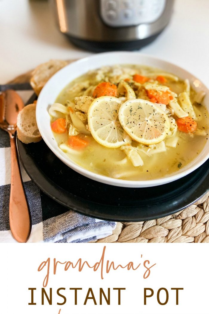The BEST Instant Pot Homemade Chicken Noodle Soup