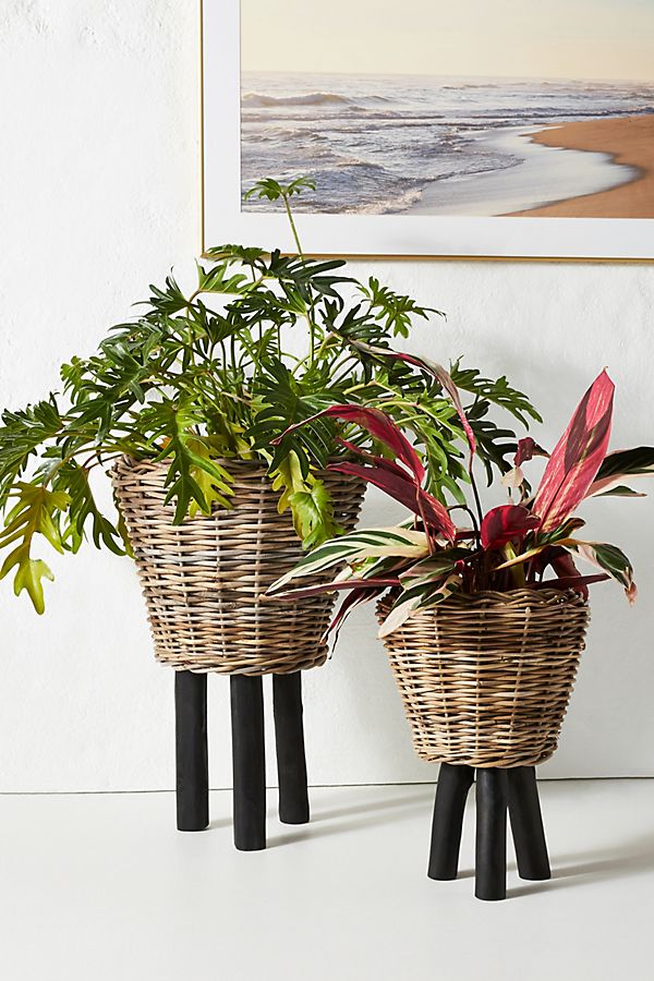 Anthropologie-inspired basket planters with legs. Raise your plants off the ground for better display with these DIY dip-dyed basket planters! 