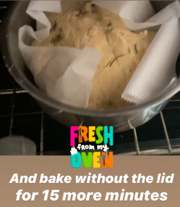 instant pot no knead bread recipe