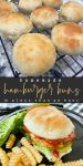 Homemade Hamburger Buns in less than an hour