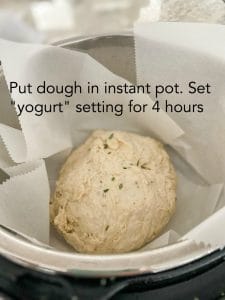 instant pot wet ball no knead bread