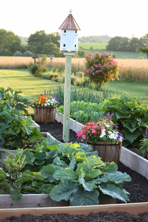 How to Make a Simple Garden Planter Box. Grow your own veggies this year with a simple garden box. You can use the box for years to come for healthy homegrown vegetables! 