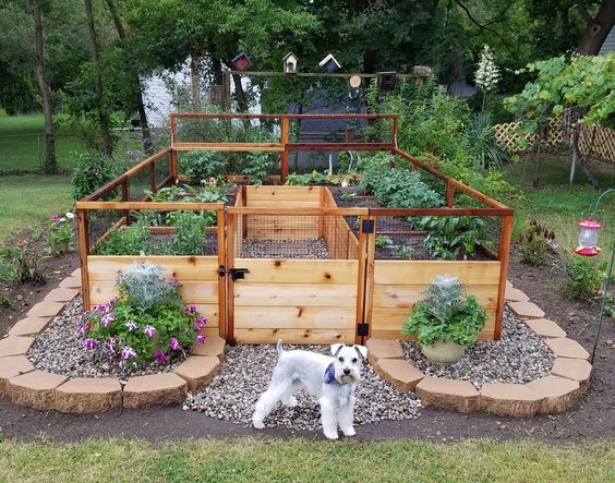 Raised planter garden from Wayfair