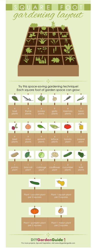 Square foot garden plan.