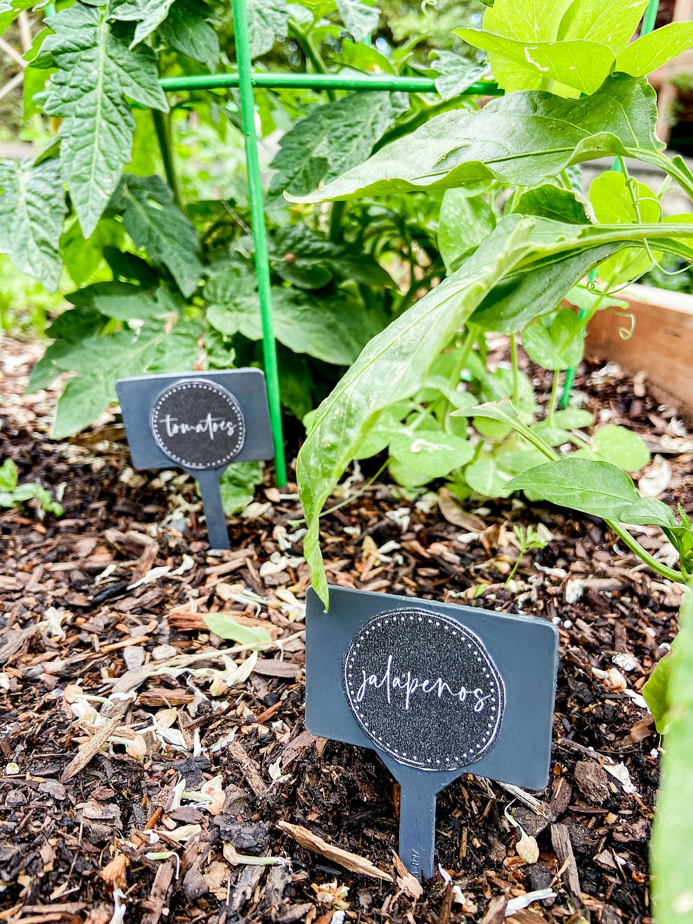 Printable Garden Plant Markers. Keep track of the plants in your garden with these DIY Garden Plant Markers with free printables that are the perfect size for Dollar Store stakes. 