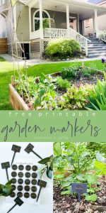 Printable Garden Plant Markers