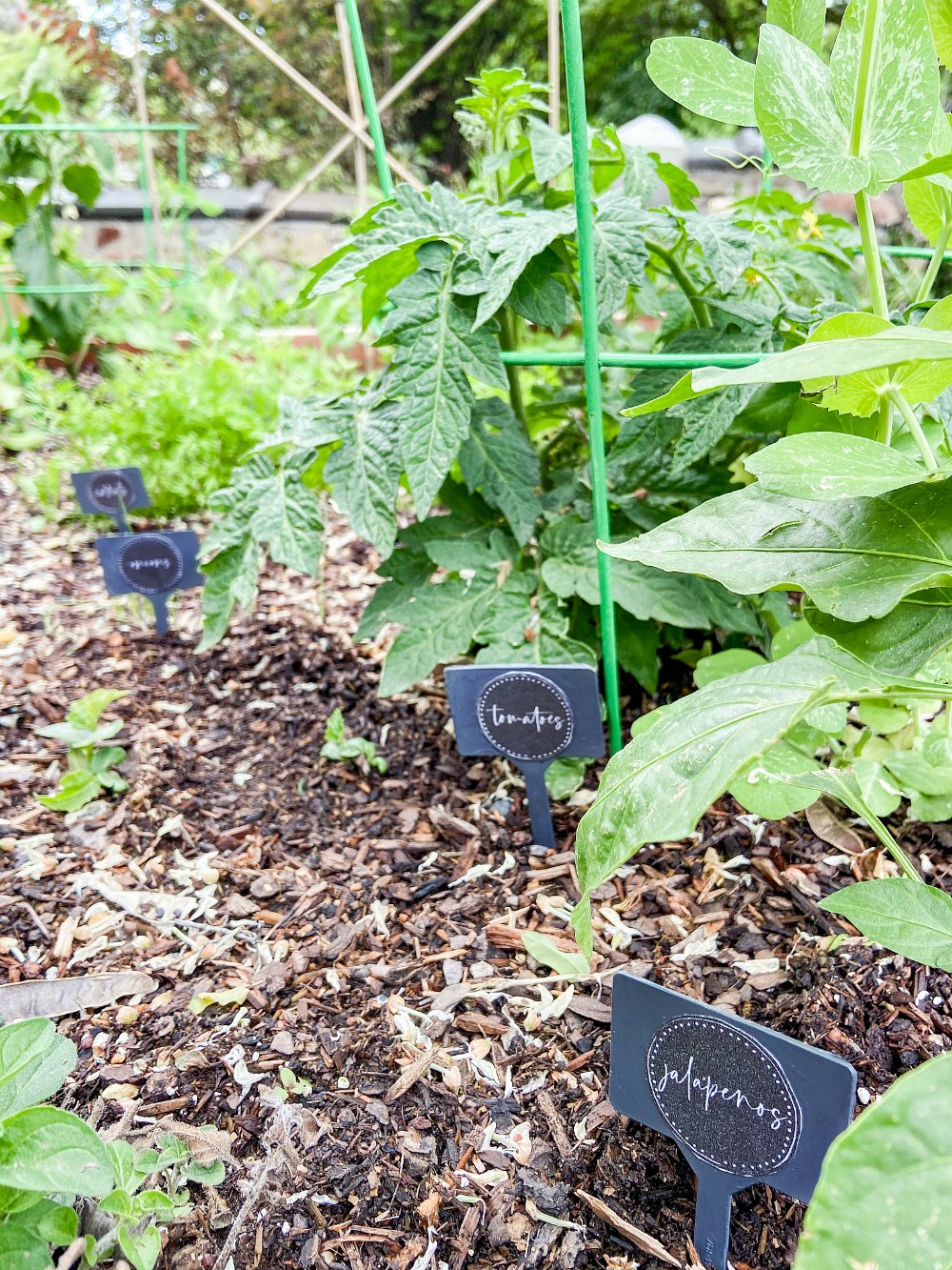 Printable Garden Plant Markers. Keep track of the plants in your garden with these DIY Garden Plant Markers with free printables that are the perfect size for Dollar Store stakes. 