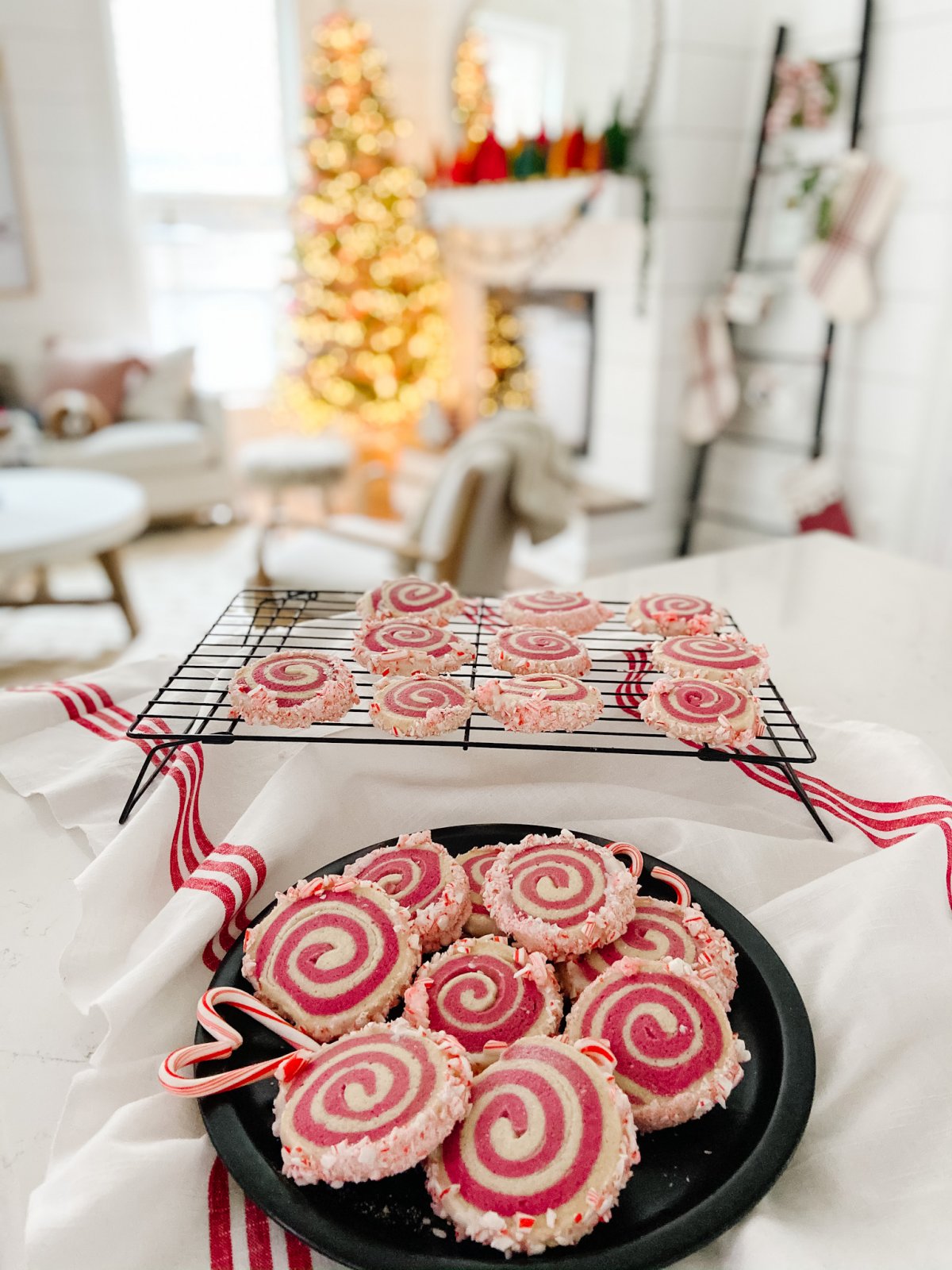 Candy Cane Frosted Swirl Cookies. Take the classic candy cane cookie and give it a modern update by rolling it, frosting it and rolling it in crushed candy canes! 