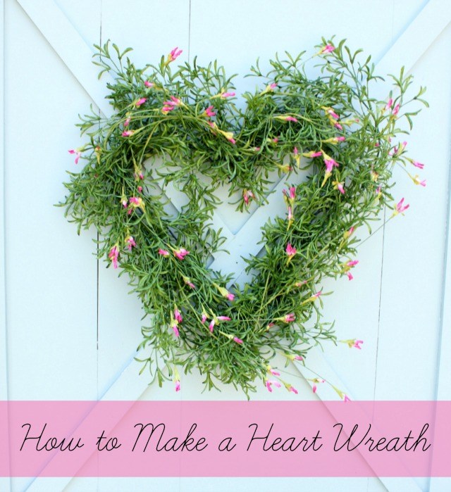 How to Make a Greenery Heart Wreath. Start the year off fresh with a gorgeous faux greenery heart wreath! 