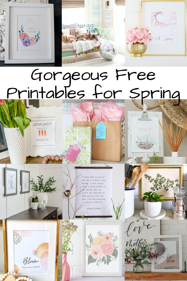 Cottage Farmhouse Spring Bunny Carrot Printables