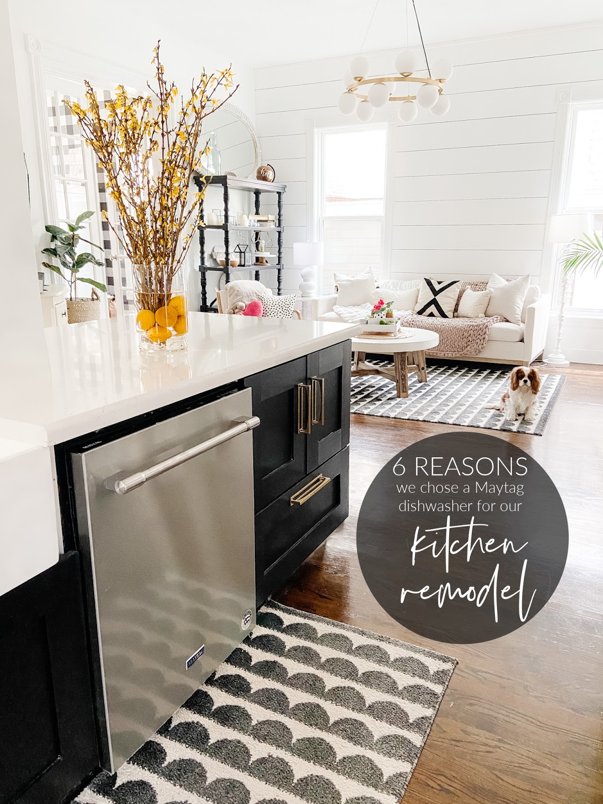 Six Reasons We Chose a Maytag® Dishwasher for Our Kitchen Remodel