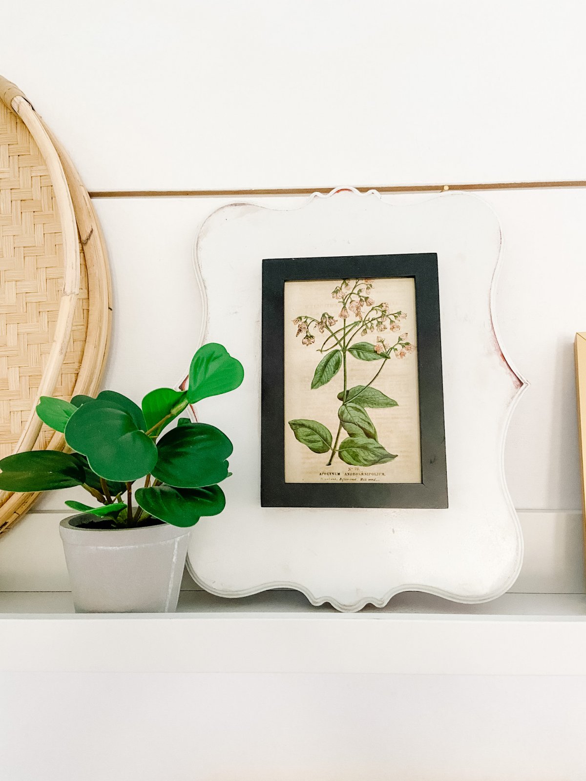 Botanical Art Focal Shelves with 6 Free Printables. Celebrate Summer by creating a botanical focal wall with these 6 free printables! 