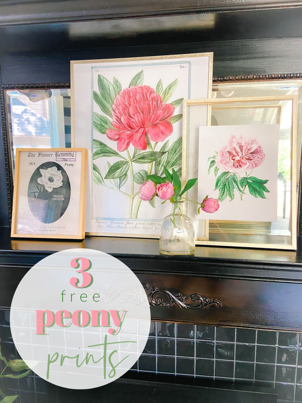 Vintage pink peonies A, Posters, Art Prints, Wall Murals