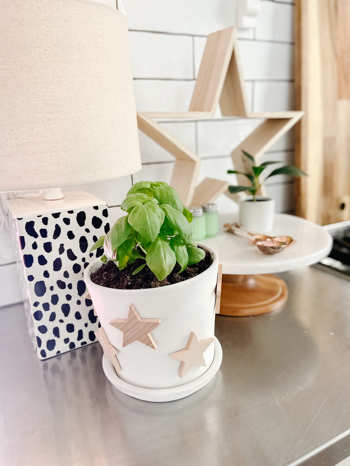 Terra Cotta Star Herb Planters. Create pretty farmhouse planters with natural wooden stars for your home or yard! 