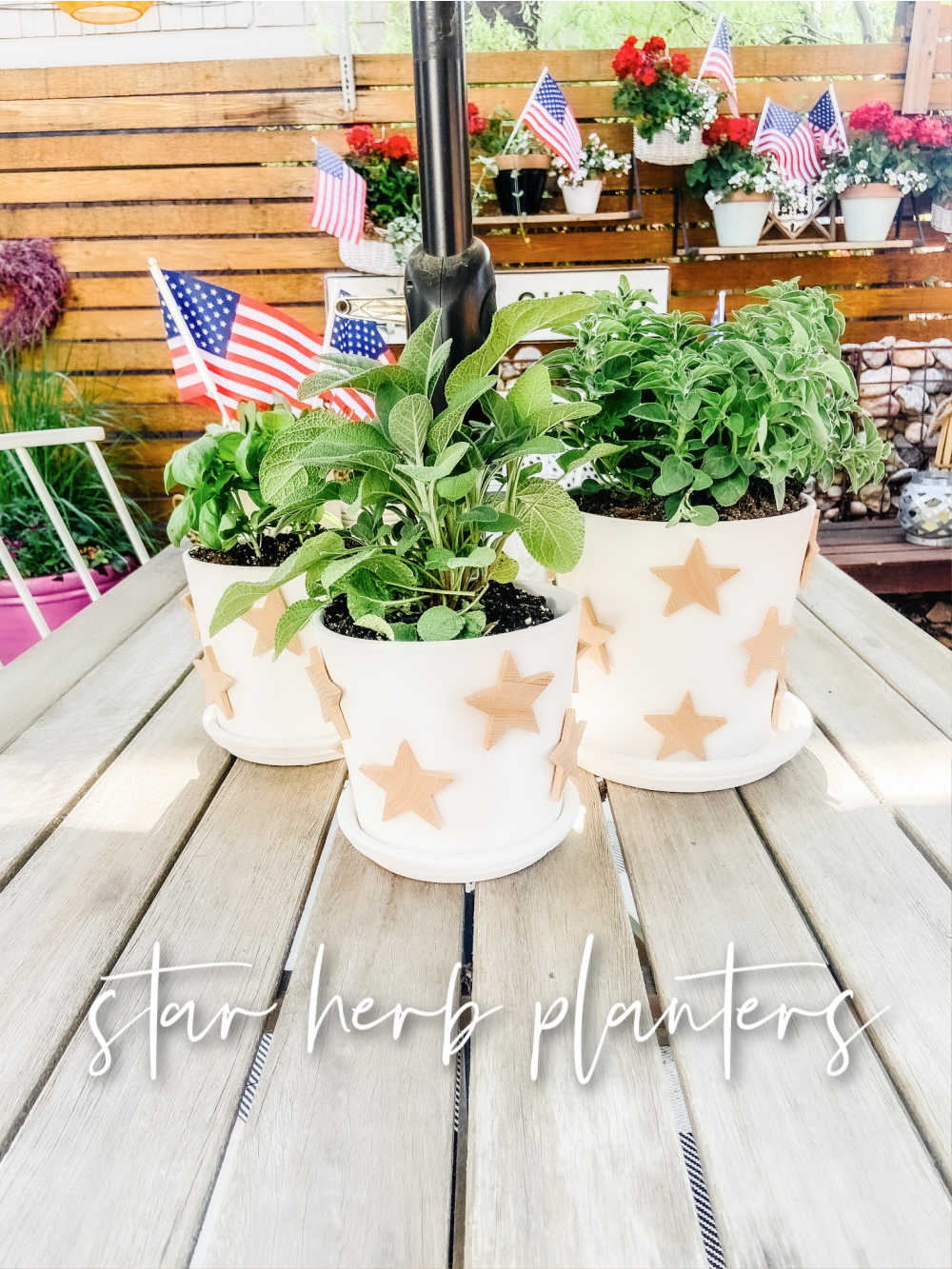 Terra Cotta Star Herb Planters. Create pretty farmhouse planters with natural wooden stars for your home or yard! 