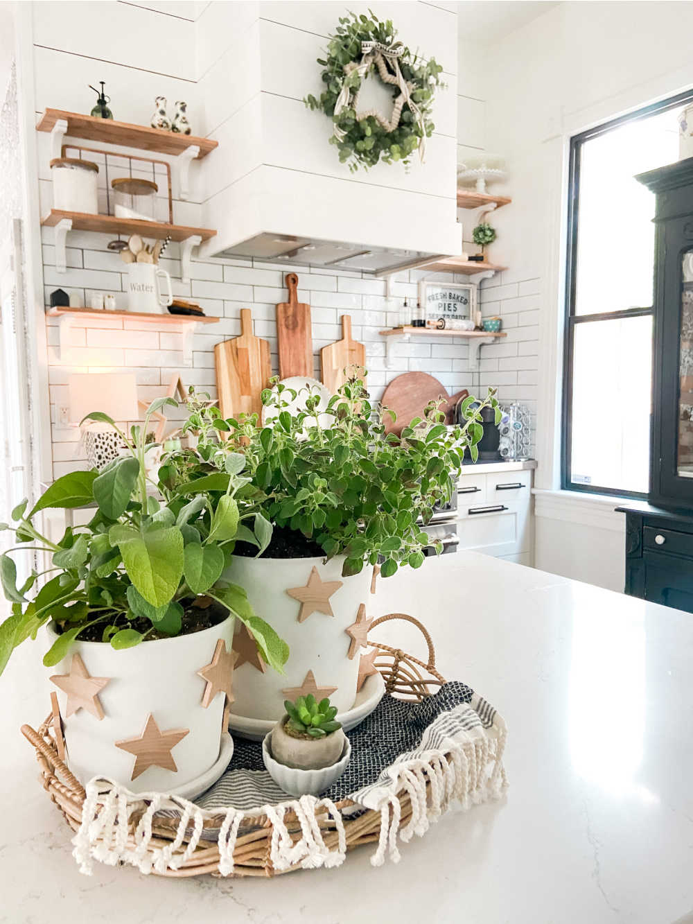 Terra Cotta Painted Star Planters 