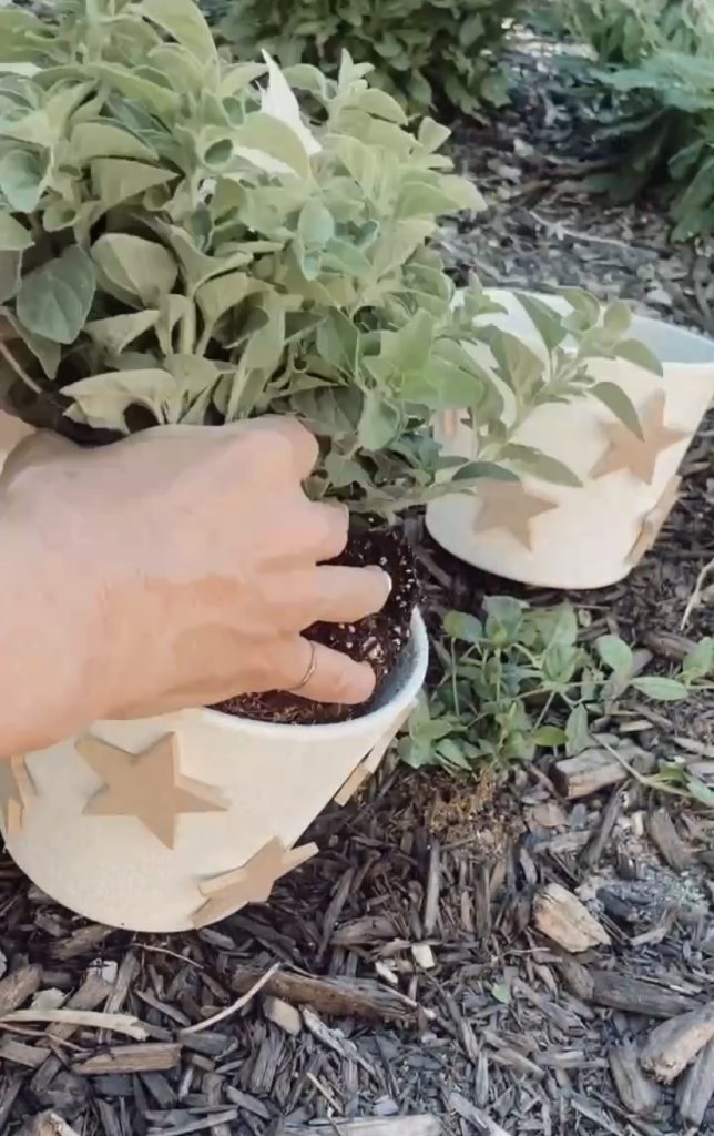 Terra Cotta Star Herb Planters. Create pretty farmhouse planters with natural wooden stars for your home or yard! 