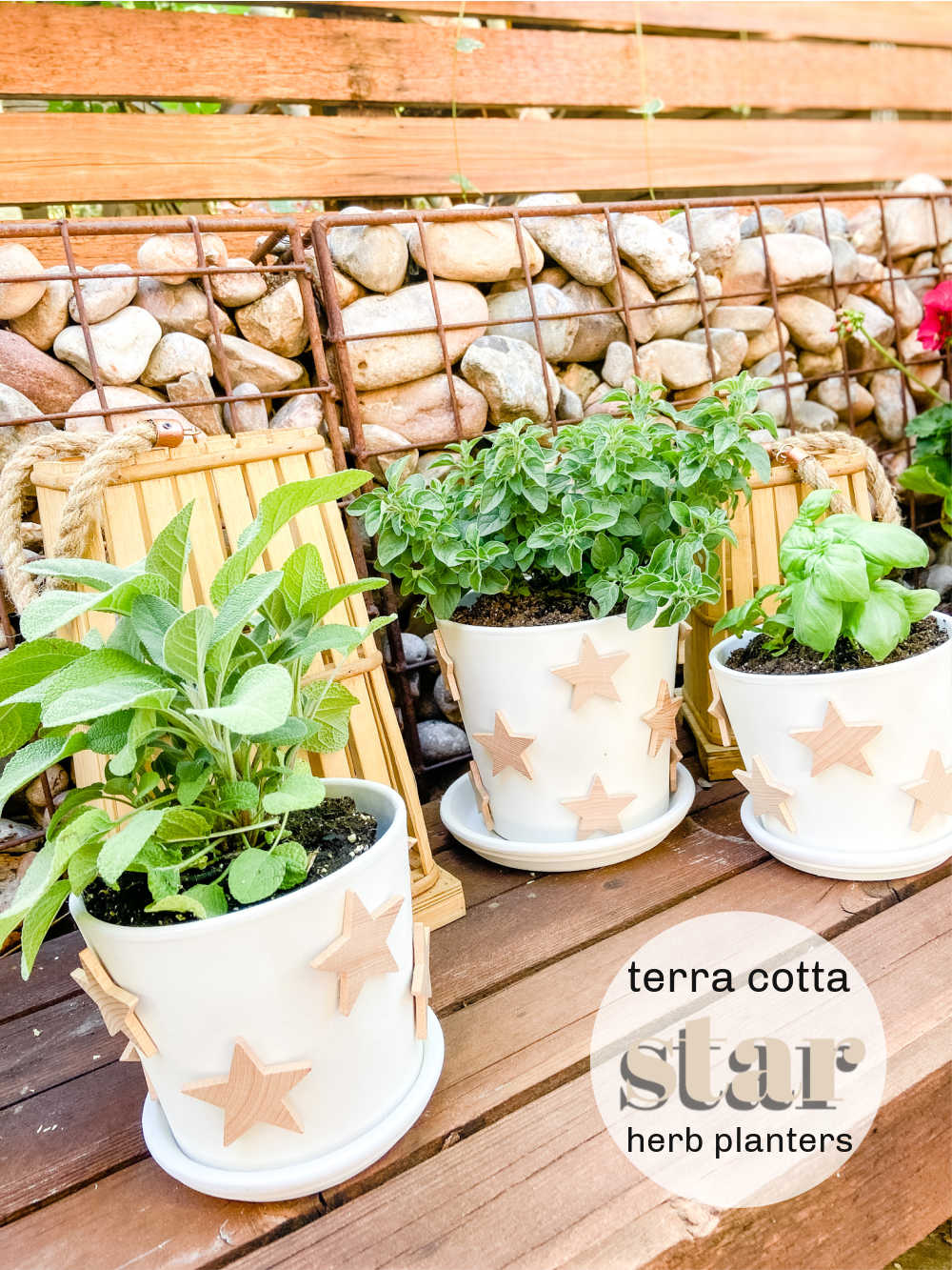 Terra Cotta Star Herb Planters. Create pretty farmhouse planters with natural wooden stars for your home or yard! 