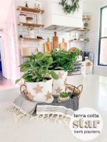 Terra Cotta Star Herb Planters