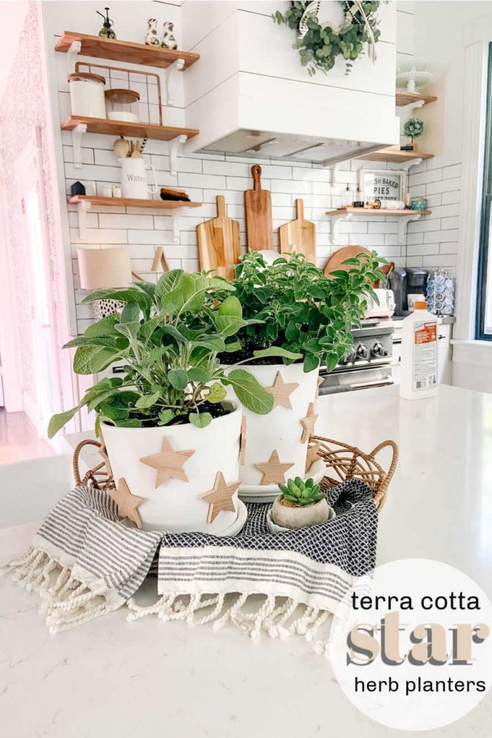 Terra Cotta Star Herb Planters