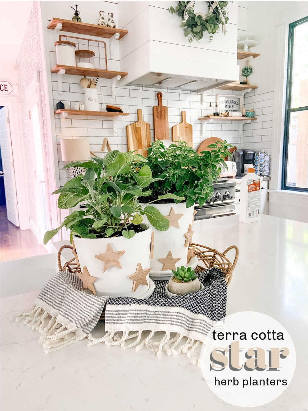 Terra Cotta Star Herb Planters. Create pretty farmhouse planters with natural wooden stars for your home or yard!