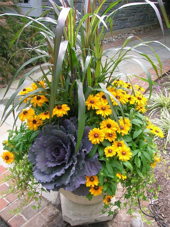 Fall Planter with Cabbage from A Piece of Rainbow 