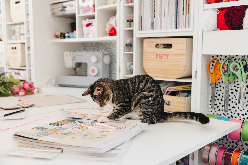 Bright Organized Craft Room Office. Bright peel-and-stick wallpaper, an organized desk and Dream Box with storage galore make working so much more fun and efficient! 