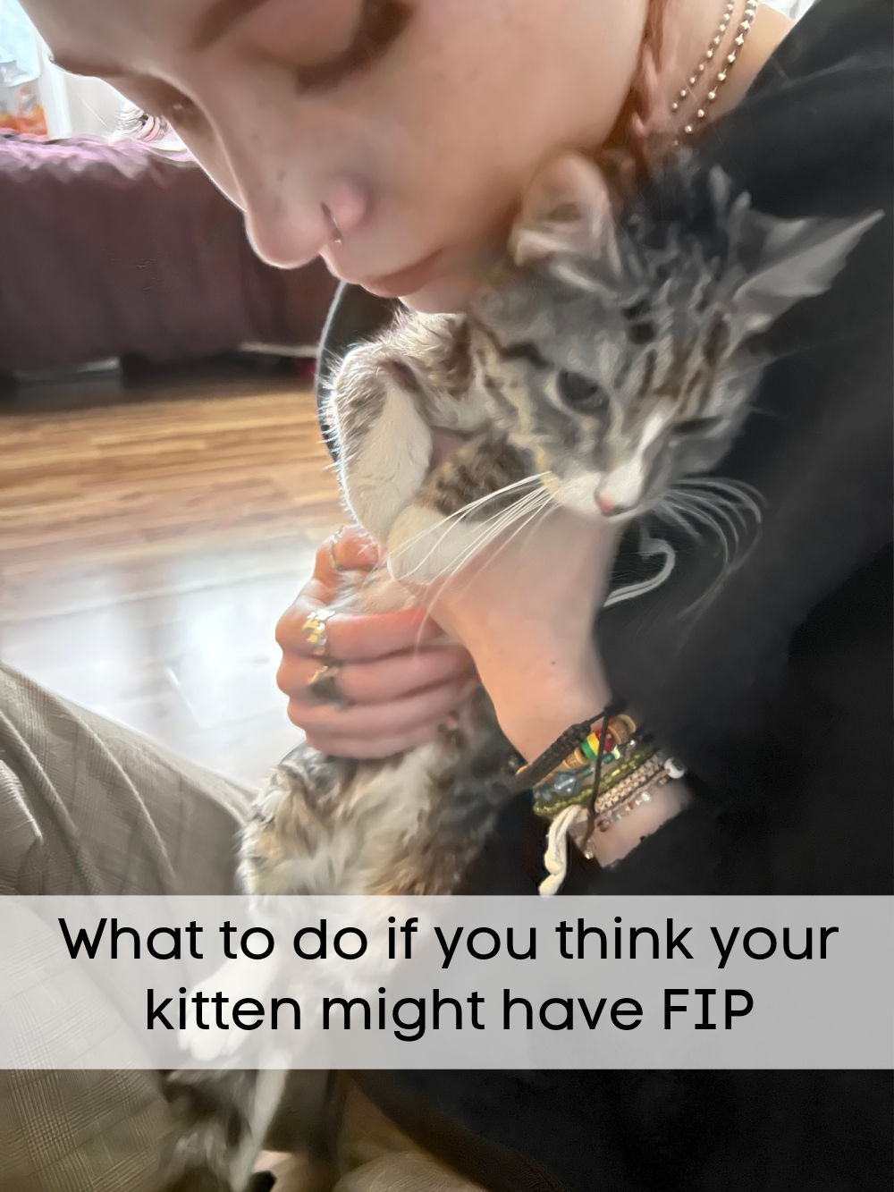 Saving My FIP Kitten. My kitten was diagnosed with the fatal FIP disease but there are options. Here's what we are doing to save her.