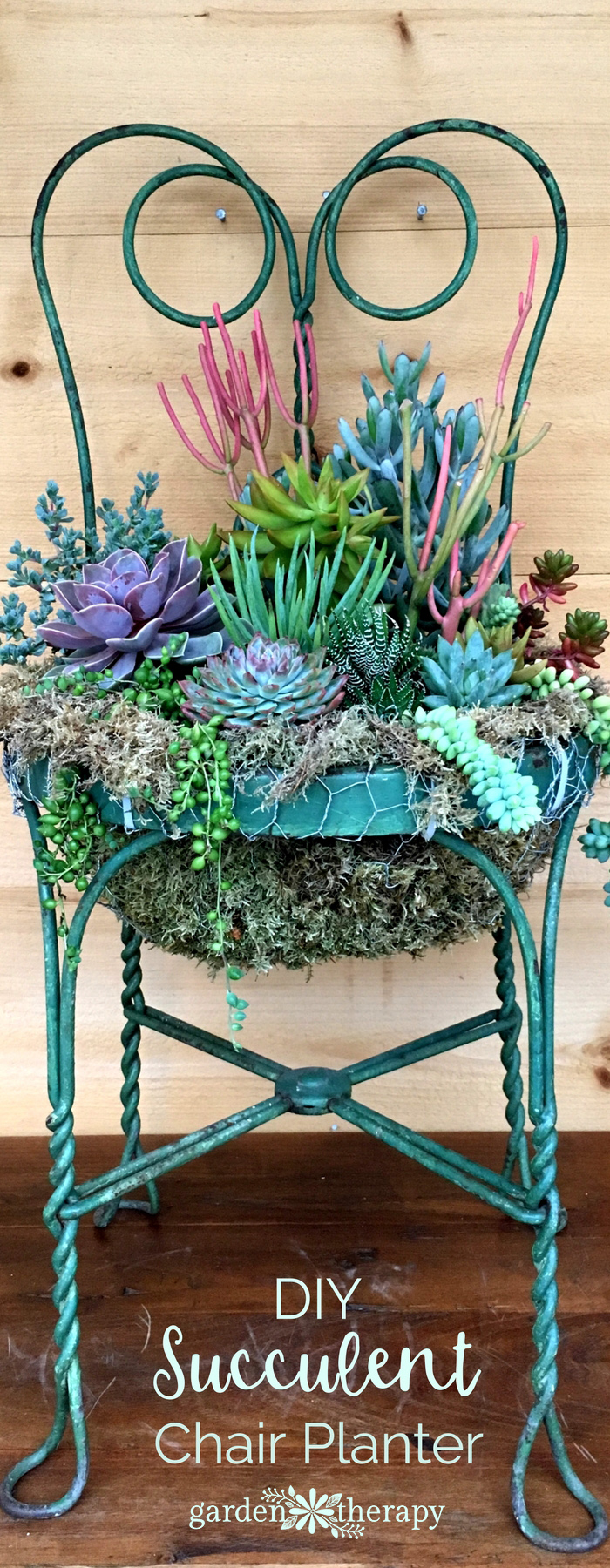 DIY Succulent Chair Planter 