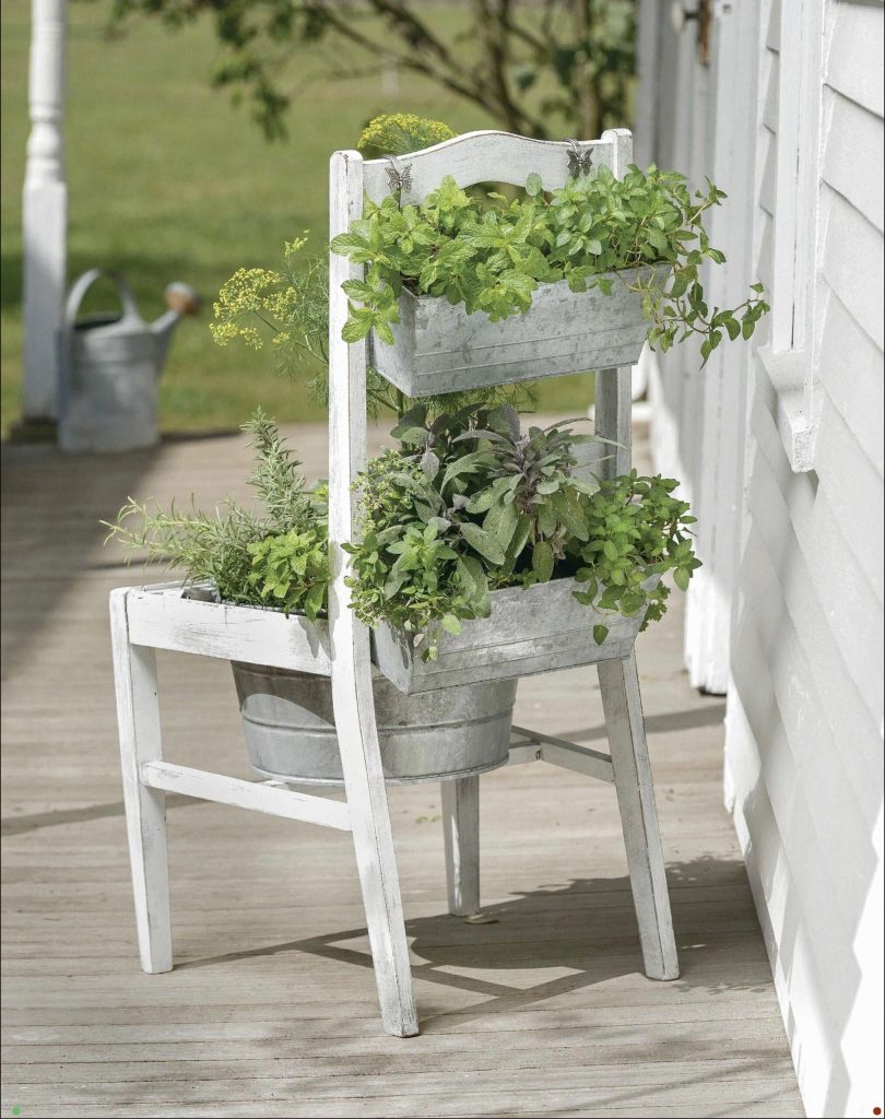potted chair with herbs 