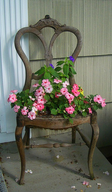 planted garden chair 