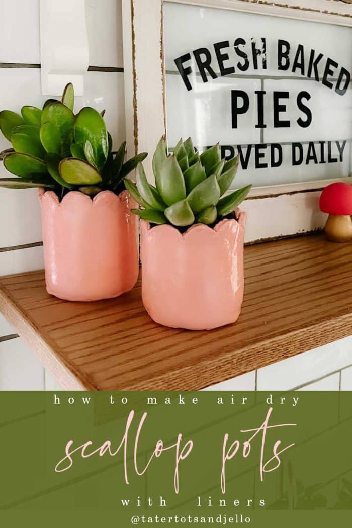 DIY Clay Succulent Scallop Pots