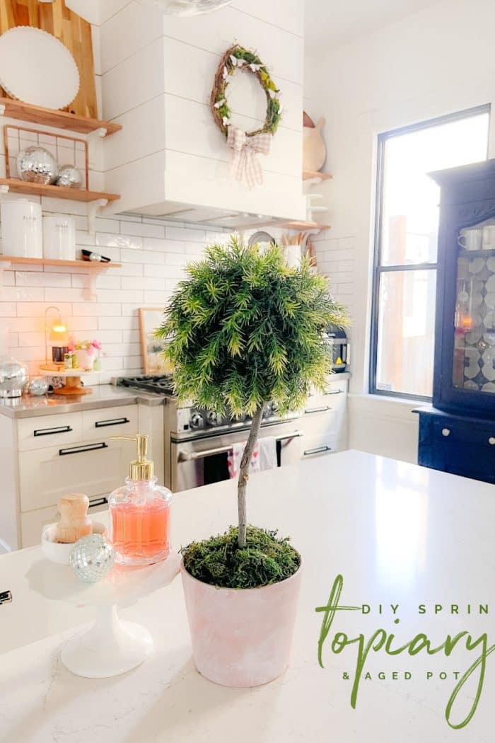DIY Spring Topiary and Aged Pot