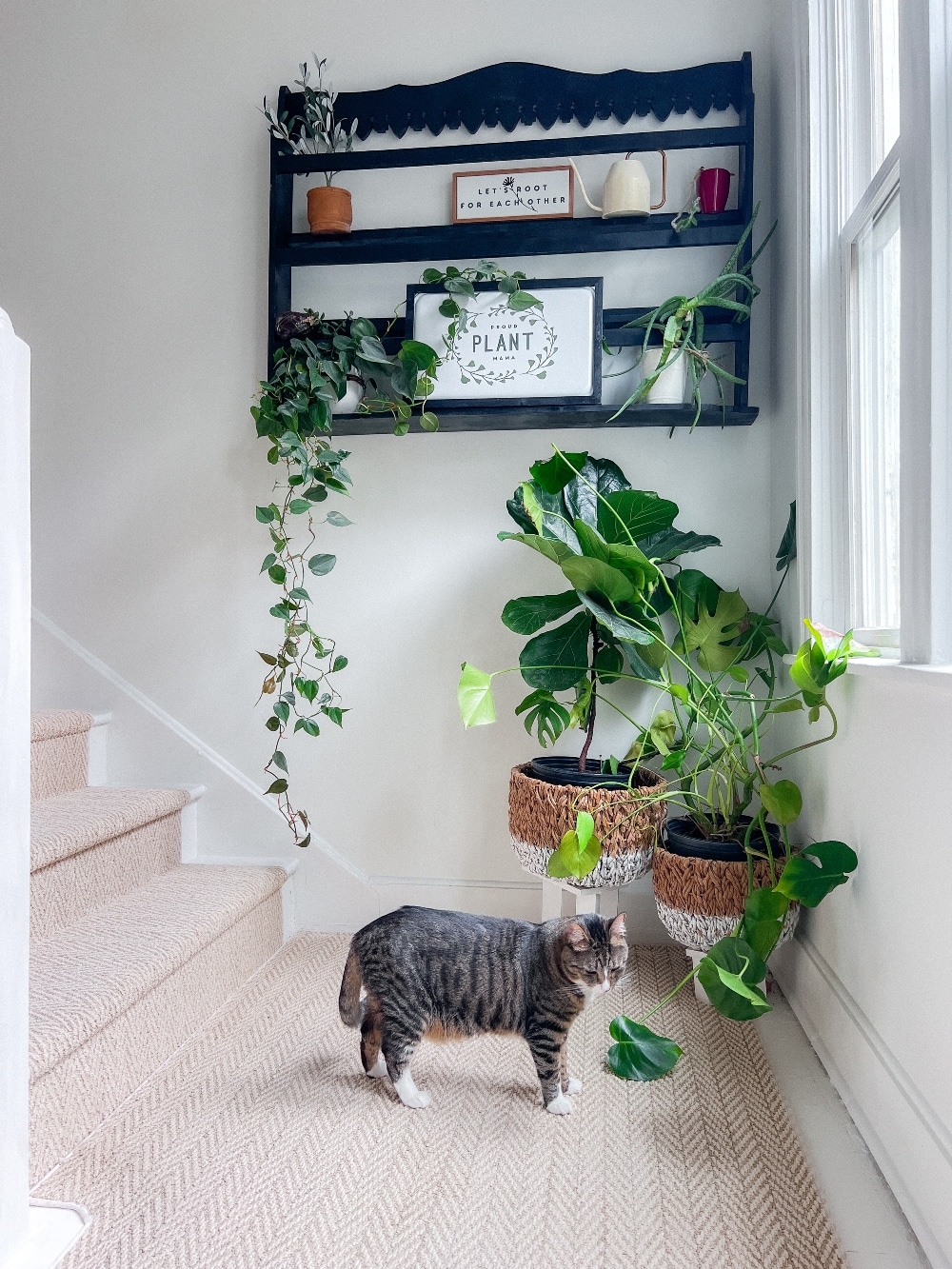 write a paragraph about our spiral staircase. We recently had a light tan and white runner put in which gives the staircase a summer feel. On the landing of the staircase I hung a vintage late rack with plants and plant signs. My plants love this sun-drenched spot. 
